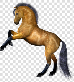 Horse Png Image  Free Download Picture  Transparent   Clear Background Horse Png  Png Download