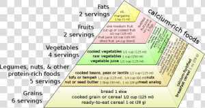 Vegan Food Pyramid   Weaning Food Related Chart  HD Png Download