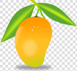 Mango Png Free Download   Mango Png  Transparent Png