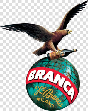 Fernet branca Eagle  amp  Globe  HD Png Download