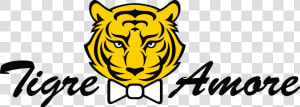 Tigre Png  Transparent Png