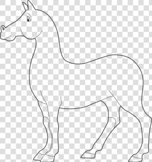 Molde Cavalo Em Eva  HD Png Download