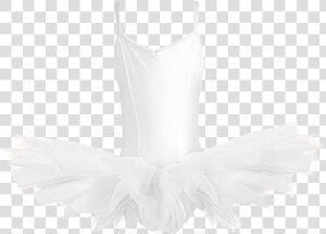 Short Tutu   Tutu Transparent  HD Png Download