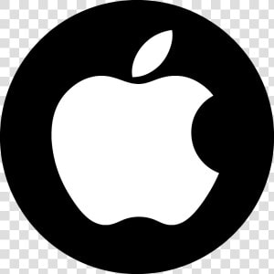 Apple Logo White Png Clip Art Transparent Library   Apple White Icon Png  Png Download