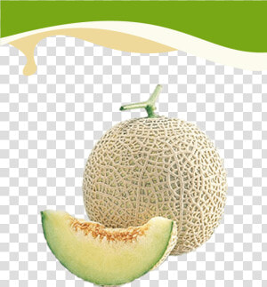 Honeydew  HD Png Download