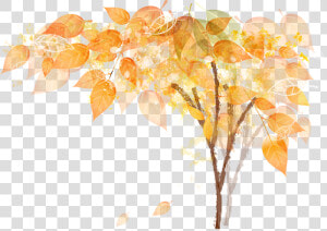 Autumn Is The Season To Find Contentment  HD Png Download