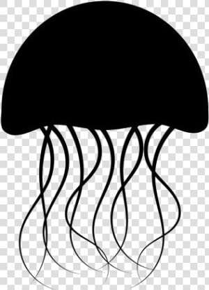 Jellyfish Png Transparent Images   Jellyfish  Png Download