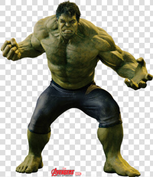 Hulk Avengers Full Body  HD Png Download