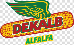 Dekalb Corn  HD Png Download