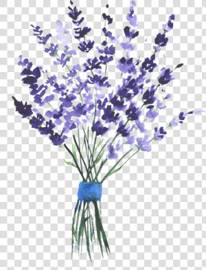 Lavender Watercolor Png   Purple Flowers Watercolour Lavender  Transparent Png