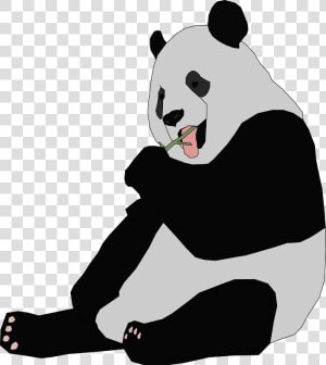 Baby Panda Clipart Free Images   Giant Panda Clip Art  HD Png Download