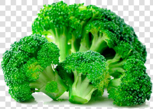 Steamed Broccoli Transparent Background  HD Png Download