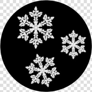 Apollo Lacy Snowflake Triad   Snowflake  HD Png Download