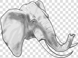 Elephant Head Colouring Page   Transparent Cartoons   Elephant Head Coloring Page  HD Png Download