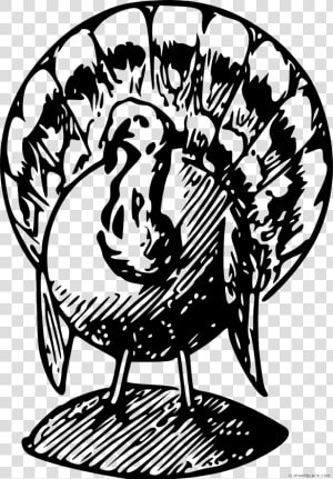 Turkey Png Black And White   Black And White Turkeys Clip Art  Transparent Png