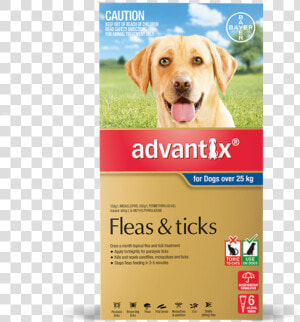 Advantix For Dogs Blue Over 25kg  HD Png Download