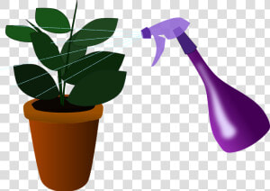 Houseplant  Plant  Watering  House Plant  Caring  Spray   Plants  HD Png Download