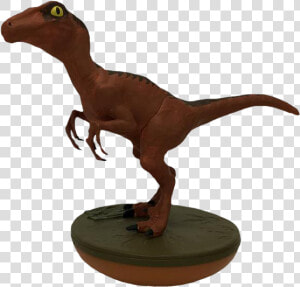 Velociraptor Png  Transparent Png