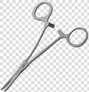 Hemostat Image Png   Blood Vessel Clip Surgery  Transparent Png