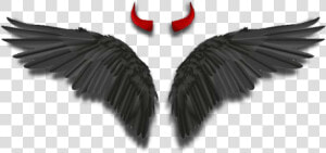  wings  angelwings  darkangel  devil  horns  black   Devil Horns And Wings  HD Png Download