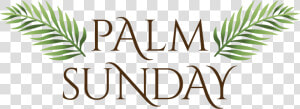 Transparent Palm Sunday Clip Art   Ancient Roman Font  HD Png Download