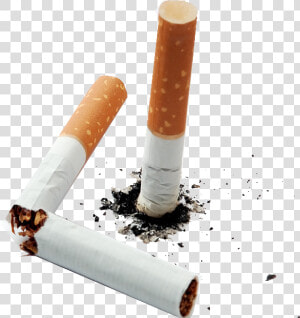 Cigarette Butt Png   Cigarette Butts Png  Transparent Png