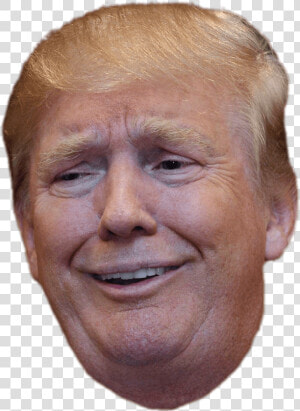 Trump Funny Face   Trump Head Transparent Background  HD Png Download