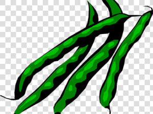 Microsoft Clipart String Bean   Green Beans Clipart  HD Png Download