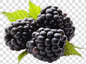 Transparent Blackberries Clipart   Blackberry Fruit Png  Png Download