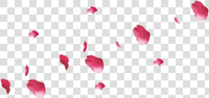 Pink Rose Petals Png   Png Download   Rose  Transparent Png