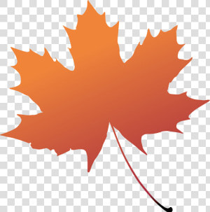 Maple Leaf Boxelder Maple Tree Plant   Green Maple Leaf Png  Transparent Png