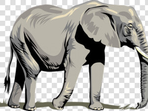 Tusk Clipart Asia Animal   Clipart Elephant Transparent Background  HD Png Download