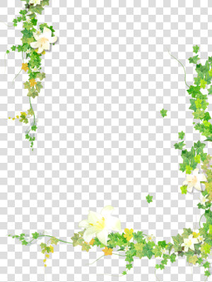 Leaf Plant Flower Vine   Transparent Background Flower Vine Clipart  HD Png Download