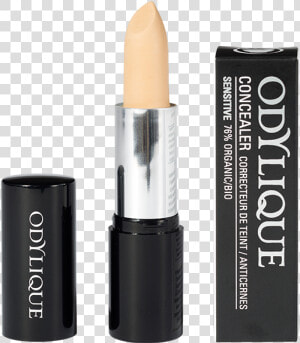 Odylique Fair Concealer   Fair Concealer  HD Png Download