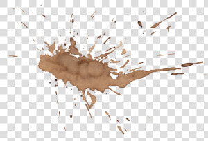 Transparent Mud Splash Clipart   Transparent Coffee Stain Png  Png Download