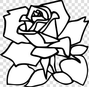 Free Rose Drawings Black   Rose And Butterfly Coloring Pages  HD Png Download