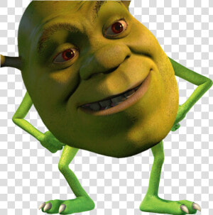 Shrek Mike Wazowski Meme  HD Png Download