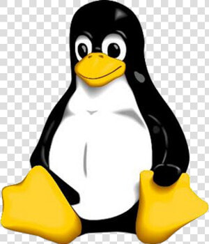 Linux Logo Png Clipart   Png Download   Linux Logo Png  Transparent Png