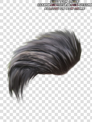 Hair hairstyle black Hair feather fashion Accessory long   Stylish Picsart Hair Png  Transparent Png