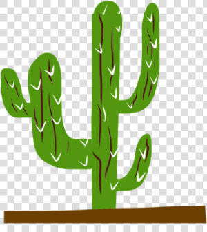 Cactus Illustration Cactus   Houseplant  HD Png Download