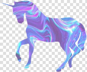 Unicorns Transparent Holographic   Unicorn Holographic  HD Png Download