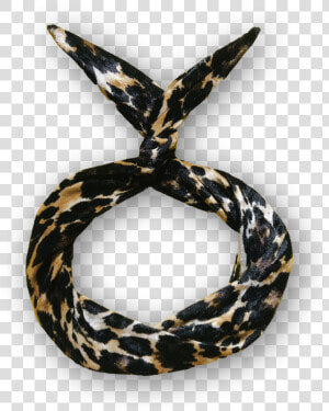 Image Of Velvet Leopard Print Wire Headband   Scarf  HD Png Download