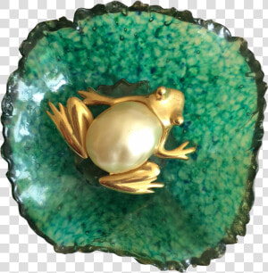 This Pearl Belly Frog Lounges On A Large Lily Pad Ready   Ring  HD Png Download