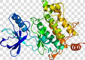 Protein Map3k7 Pdb 2eva  HD Png Download