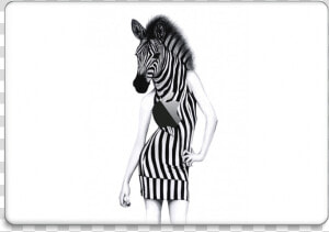 Party Zebra Skin Macbook Pro 15” 2016    Zebra Party  HD Png Download