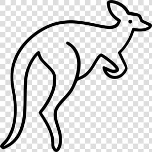 Kangaroo   Kangaroo Icon Png  Transparent Png