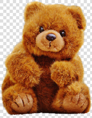 Teddy Bear Png Transparent Image   Teddy Bear Pic Png  Png Download