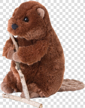 Beavers Stuffed Animals Transparent  HD Png Download