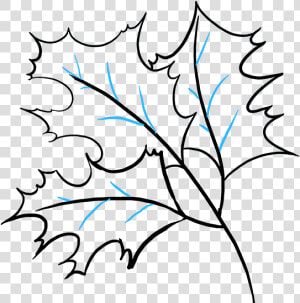 How To Draw Fall Oak Leaves   Fall Drawing  HD Png Download