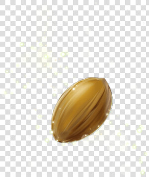 Seed Png Picture   Seed Png  Transparent Png